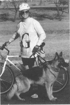The German Shepherd Dog Club of Germanys system of regulating breeding In - фото 6