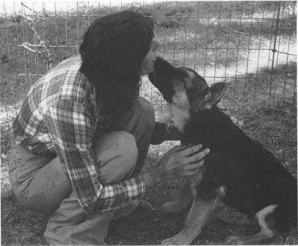 Social response The puppy is left alone in a pen A stranger enters the pen - фото 18