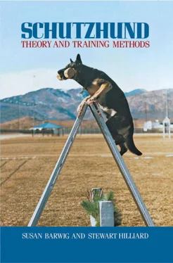 Susan Barwig Schutzhund обложка книги