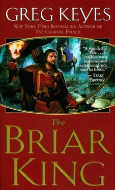 Gregory Keyes The Briar King обложка книги