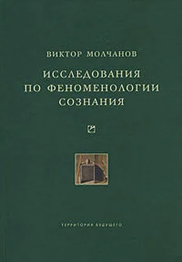 Виктор Молчанов Исследования по феноменологии сознания обложка книги