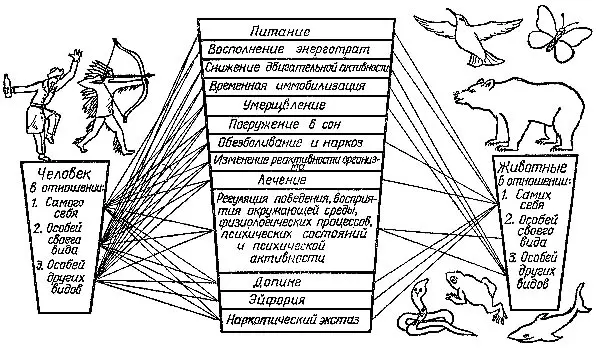 Задачи решаемые человеком и животными при использовании ими наркотических и - фото 13