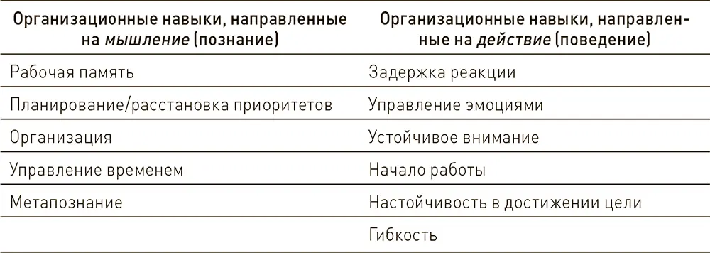 Появление и развитие организационных навыков биология и опыт Как у детей - фото 3