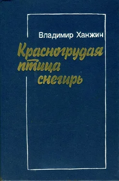 Владимир Ханжин Красногрудая птица снегирь обложка книги