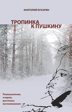 Анатолий Бухарин Тропинка к Пушкину, или Думы о русском самостоянии обложка книги