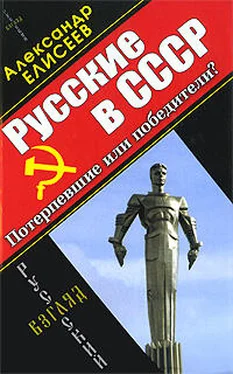 Александр Елисеев Русские в СССР. Потерпевшие или победители? обложка книги