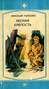 Николай Гомолко Лесная крепость обложка книги