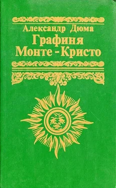 Александр Дюма Графиня Монте-Кристо обложка книги