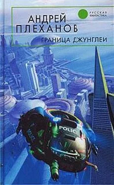 Андрей Плеханов Граница джунглей обложка книги