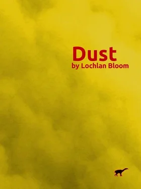 Lochlan Bloom Dust: Sandstorms обложка книги