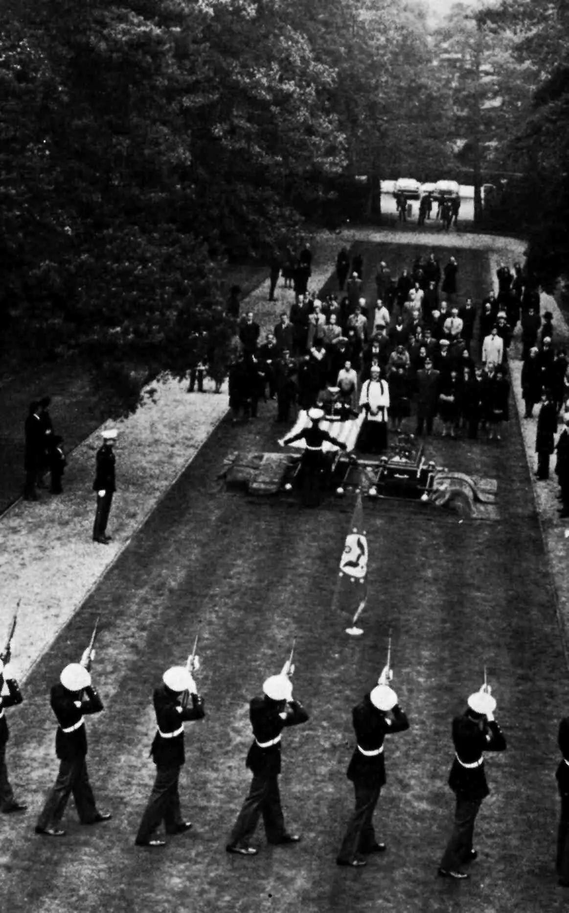 Ehrensalut für den amerikanischen Botschafter Sieht so die Wiedergeburt - фото 23
