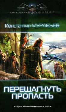 Константин Муравьёв Перешагнуть пропасть обложка книги