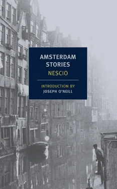 Nescio Amsterdam Stories обложка книги