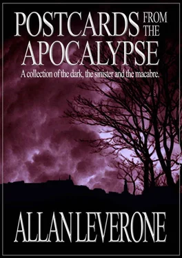 Allan Leverone Postcards from the Apocalypse обложка книги