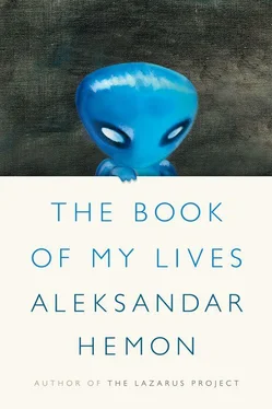 Aleksandar Hemon The Book of My Lives обложка книги