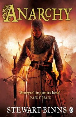 Stewart Binns Anarchy обложка книги
