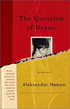 Aleksandar Hemon The Question of Bruno обложка книги