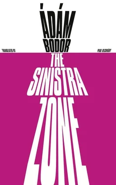 Adam Bodor The Sinistra Zone обложка книги