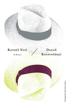 Deszö Kosztolány Kornel Esti обложка книги