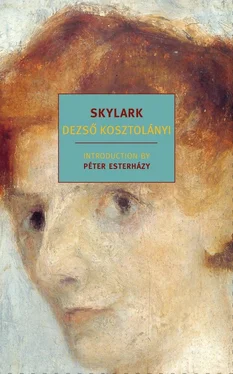Dezso Kosztolanyi Skylark обложка книги