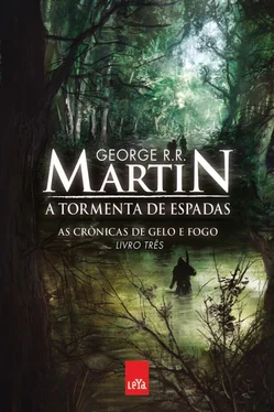 George Martin A Tormenta de Espadas обложка книги