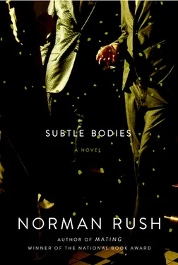 Norman Rush Subtle Bodies обложка книги