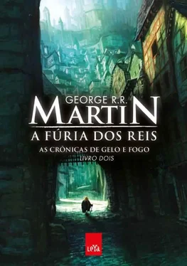 George Martin A Fúria dos Reis обложка книги