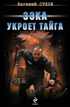 Евгений Сухов Зэка укроет тайга обложка книги