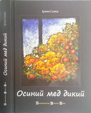 Ірина Савка Осиний мед дикий обложка книги