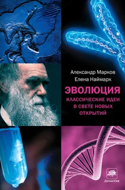 Александр Марков Эволюция. Классические идеи в свете новых открытий обложка книги