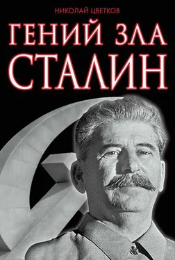 Николай Цветков Гений зла Сталин обложка книги