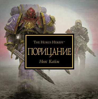 Ник Кайм Порицание обложка книги