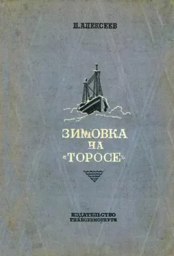 Николай Алексеев Зимовка на «Торосе» обложка книги