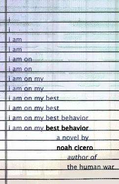 Noah Cicero Best Behavior обложка книги