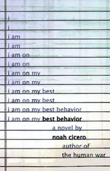 Noah Cicero - Best Behavior