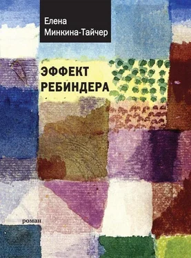 Елена Минкина-Тайчер Эффект Ребиндера обложка книги