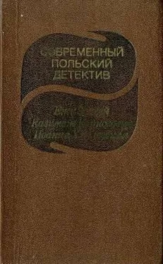 Неизвестный Автор Современный польский детектив обложка книги