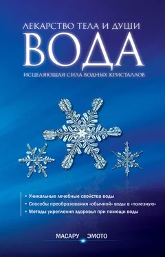 Масару Эмото Вода – лекарство тела и души. Исцеляющая сила водных кристаллов обложка книги