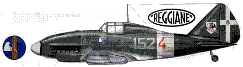 Re2001 из 152й экадрильи 2й авиагруппы Сицилия весналето 1942 г - фото 155