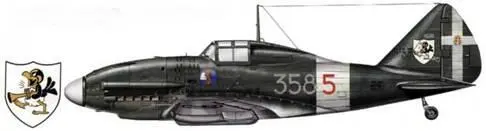 Re2001 2й серии 358я эскадрилья из 2й авиагруппы Сицилия лето 1942 г - фото 157