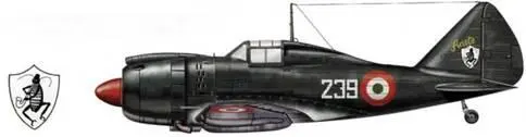 Re2002 из 239й эскадрильи 102й штурмовой авиагруппы Италия декабрь 1943 г - фото 159