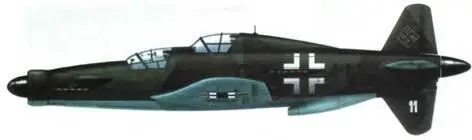 Do 335М11 прототип А11 камуфляж RLM 818265 увеличенные опознавательные - фото 45