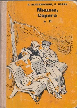 Ниссон Зелеранский Мишка, Серёга и я обложка книги