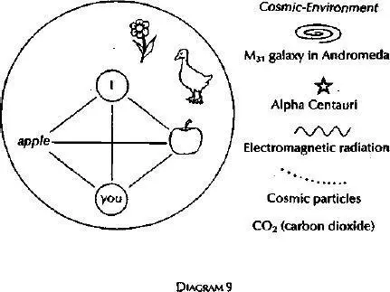 The Strange World of the Triadic Creature Note some odd things about the - фото 9