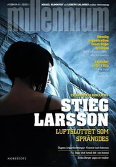 Stieg Larsson - Luftslottet som sprängdes