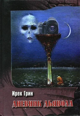 Ирек Грин Дневник дьявола обложка книги