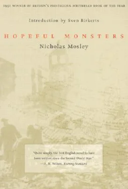 Nicholas Mosley Hopeful Monsters обложка книги