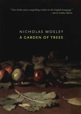 Nicholas Mosley A Garden of Trees обложка книги