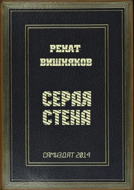 Ренат Вишняков Серая стена обложка книги