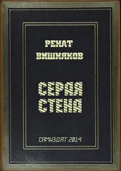 Ренат Вишняков - Серая стена